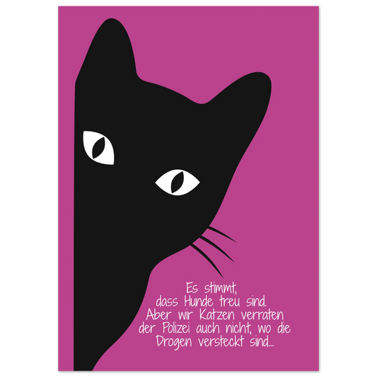 d49cfab3-47db-474f-ae61-e95851e9cc50